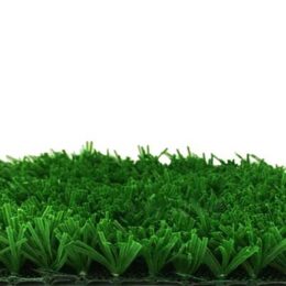17 میلیمتری شقایق