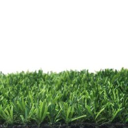15 میلیمتری نرگس