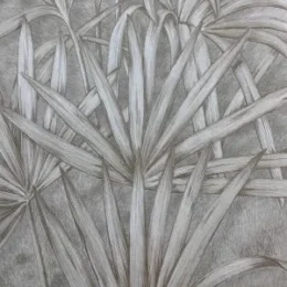 سلویجیا کد 88759