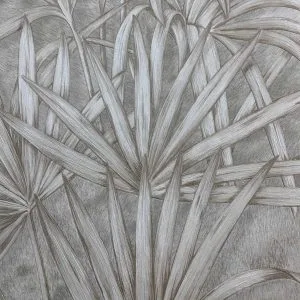 سلویجیا کد 88759