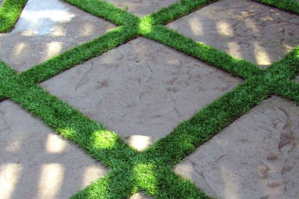 چمن های نواری برای حیاط