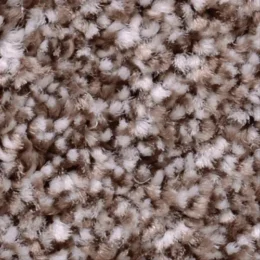 فروش افرا کد 5905