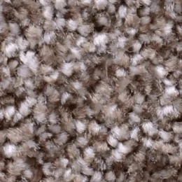 نمایندگی فروش افرا کد 5605