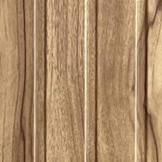 قیمت خرید ای اس پی کد کاج روشن