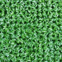 گرین-وال-آناناسی