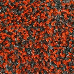 گرین-وال-ویولت-قرمز