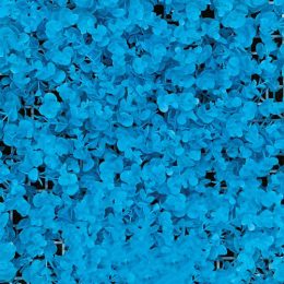 قیمت دیوار سبز مصنوعی آبی