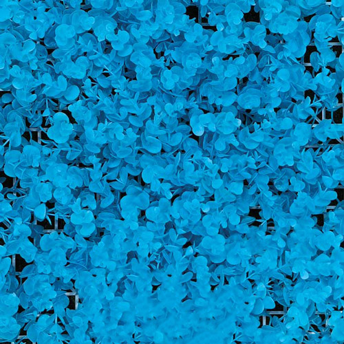 دیوار سبز مصنوعی آبی