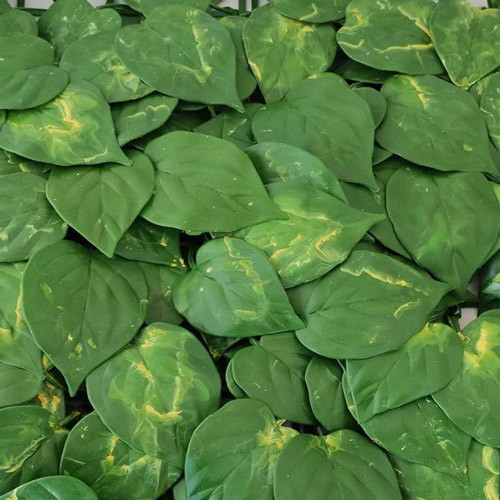 دیوار سبز مصنوعی مدل برگ پتوس