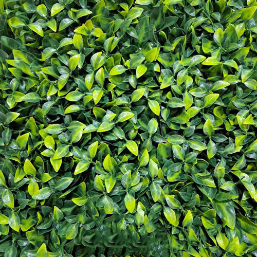 گرین وال مدل ریحون