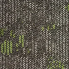 آلامد-کد-1004