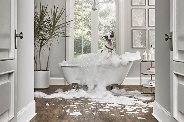 پارکت لمینت ضد آب