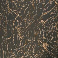 سانتوس-کد44504