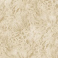 مای-استار-11-کد-1161