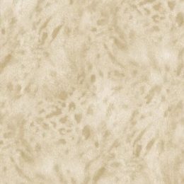 مای-استار-11-کد-1161