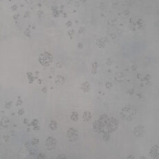 پینکی-پای-کد-62304