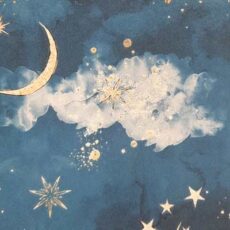 پینکی-پای-کد-67702