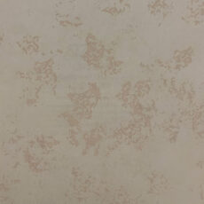 کاناستا کد 27022