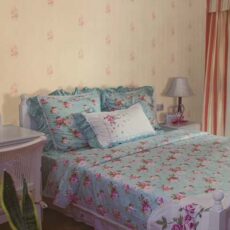 کاناستا کد 27032